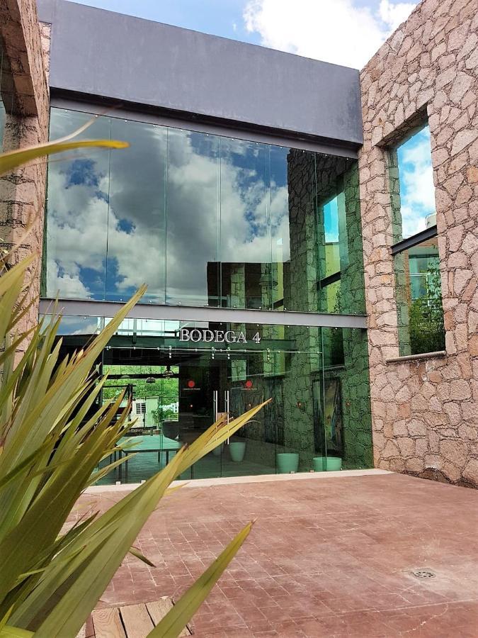Hotel Camino De Piedra Guanajuato Eksteriør bilde